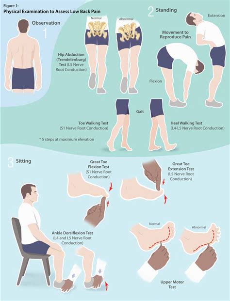 farfans torsion test|low back pain physiotherapy assessment.